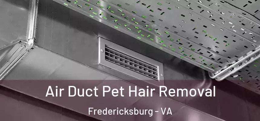 Air Duct Pet Hair Removal Fredericksburg - VA