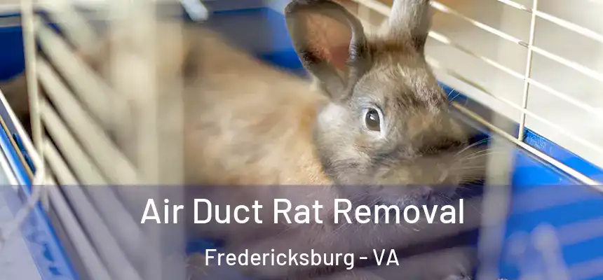 Air Duct Rat Removal Fredericksburg - VA