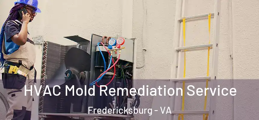 HVAC Mold Remediation Service Fredericksburg - VA