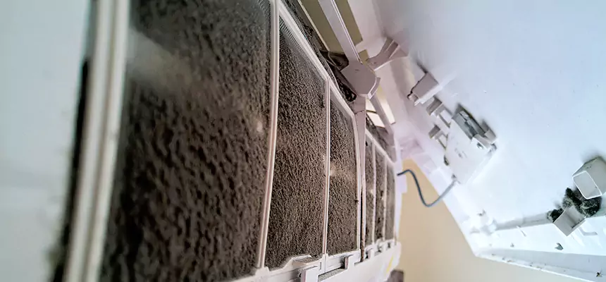 Preventive Air Duct Bacteria Removal in Fredericksburg