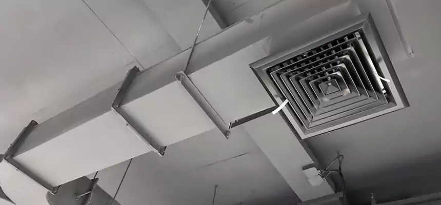 Restorative Allergy Relief Vent Cleaning – Coil, Blower & Housing Detail in Fredericksburg