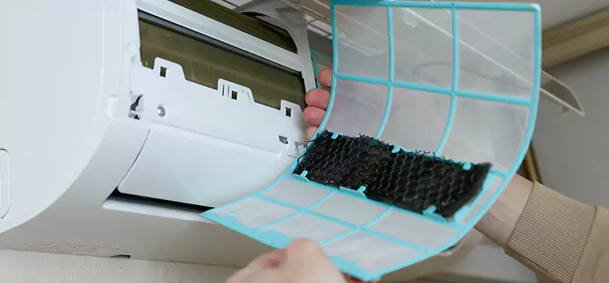 Gentle Ductwork Odor-Control Pet Dander Duct Cleaning in Fredericksburg, VA