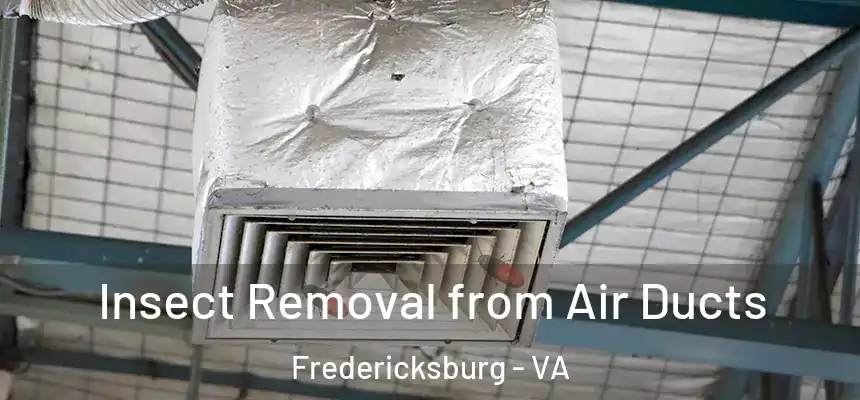 Insect Removal from Air Ducts Fredericksburg - VA