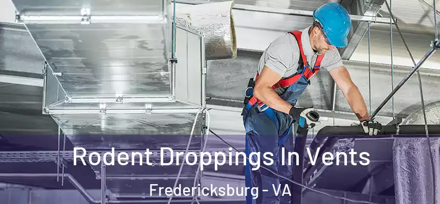 Rodent Droppings In Vents Fredericksburg - VA