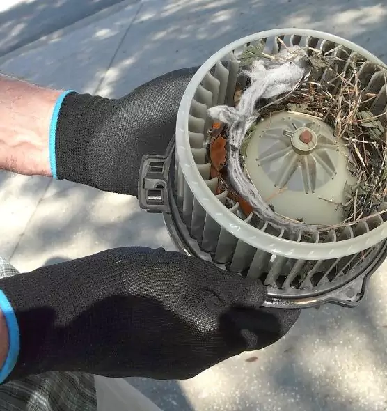 About Air Duct Mice Removal in Fredericksburg, VA