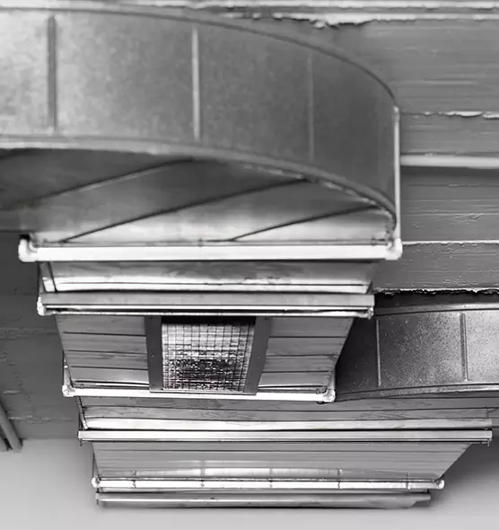 Professional Air Duct Pest Removal in Fredericksburg, VA