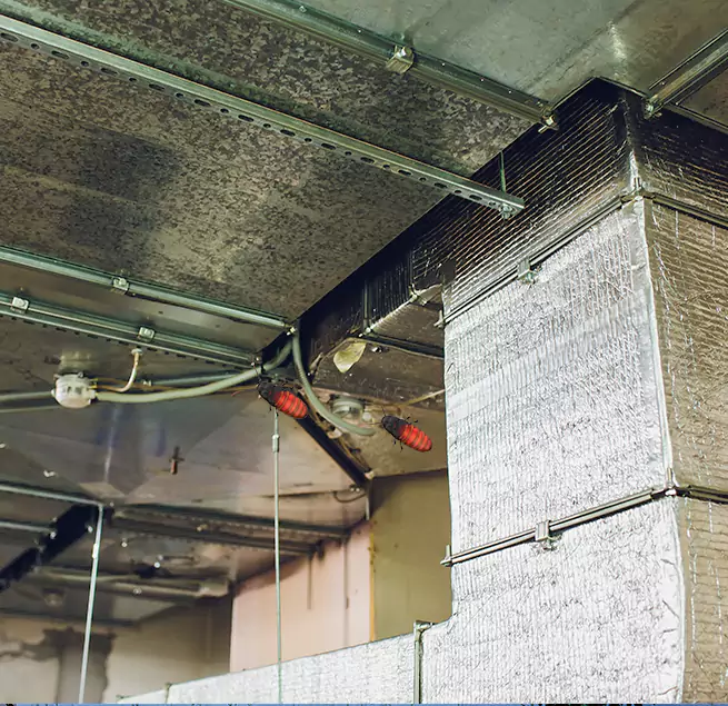 Why Homeowners & Businesses Trust Us in Fredericksburg, VA?