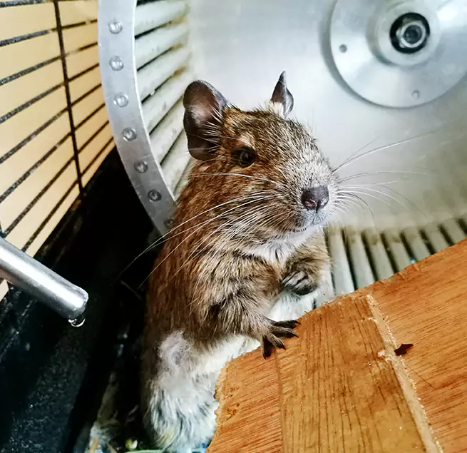 Why Homeowners & Businesses Trust Us Fredericksburg, VA