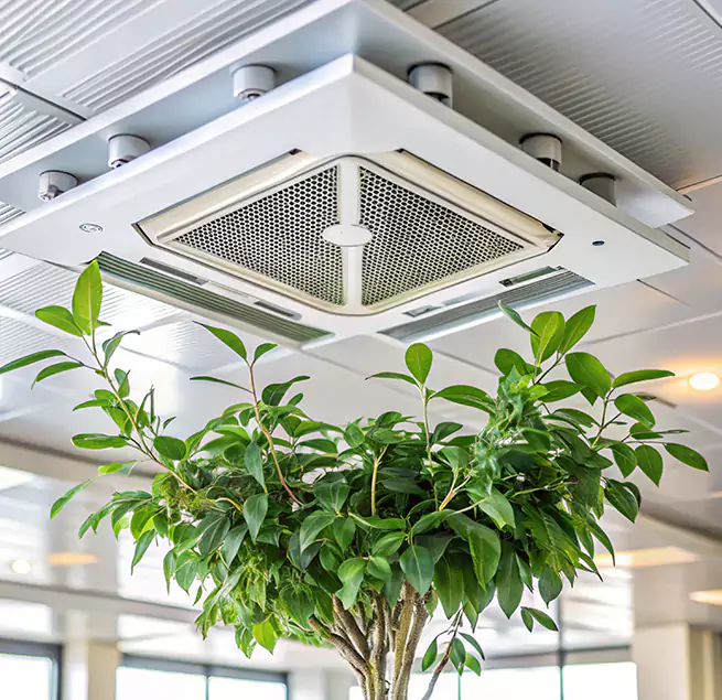 Why Homeowners & Businesses Trust Us in Fredericksburg, VA?